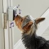 Hunger for Words TALKING PET Doorbell Dzwonek do drzwi